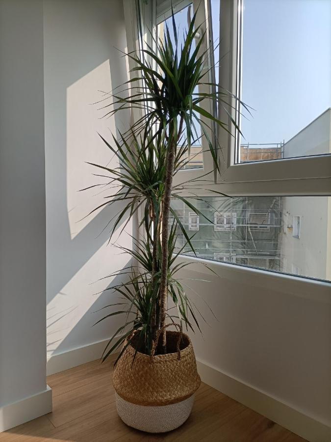 Precioso Apartamento Nuevo Centrico En Santander Luaran gambar